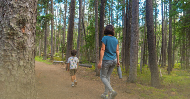 Parent and child walking on a forest trail during tick season, promoting outdoor safety and Lyme disease prevention.